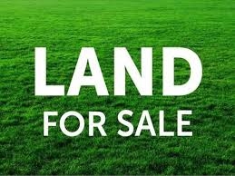 Adalin Drive Lot 1 Demossvill KY