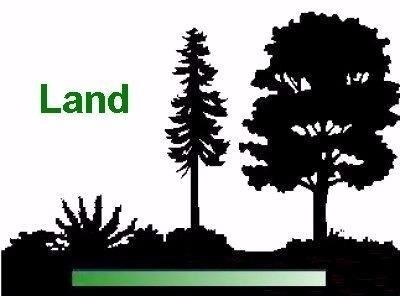 Click to View Slideshow