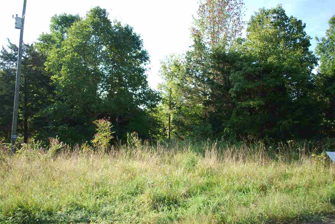 3.41 acres Brushy Creek Drive