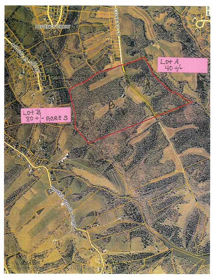 Lot A & B Conrad Lane Williamstw KY