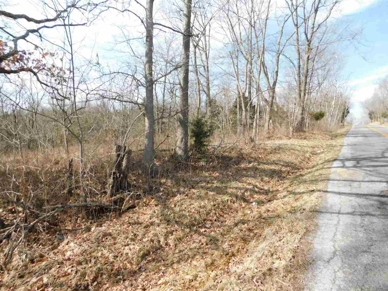 Dog Walk Road