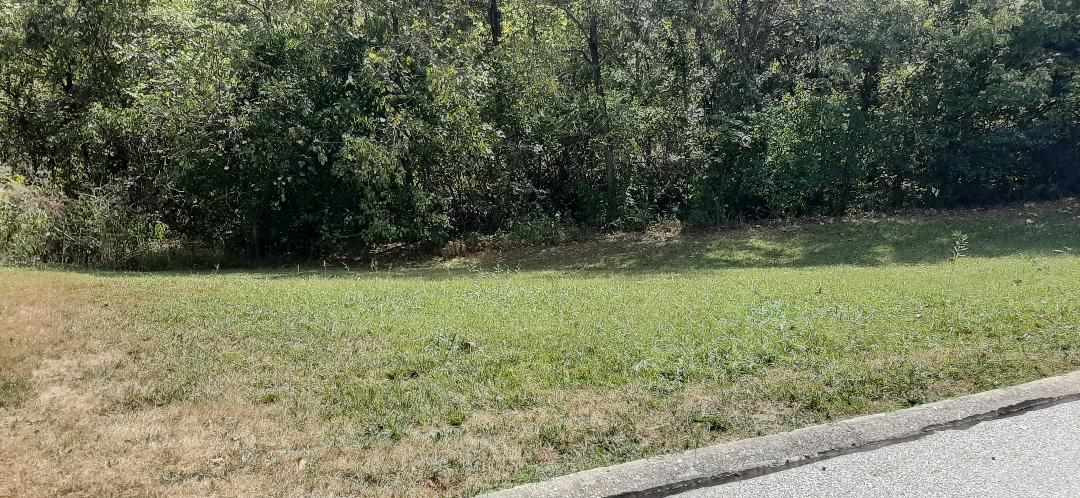 Lot 159 Hunters Trace Burlington KY
