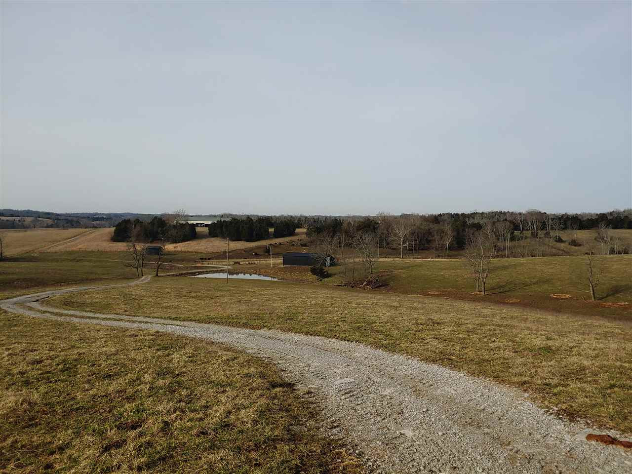Kings Lane