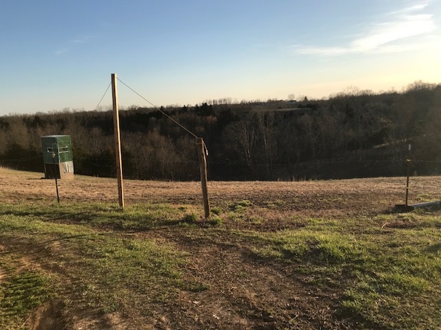 244 Mattox Rd. Falmouth KY
