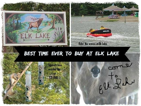 445 Elk Lake Resort , LOTS 1275-12 Owenton KY