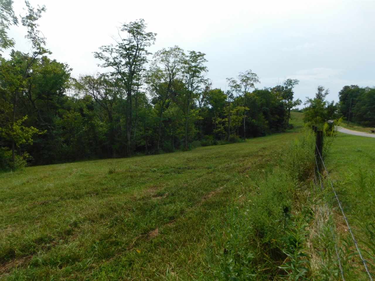 Bevins Lane Verona KY