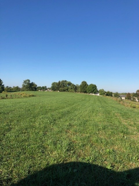 Crittenden Mt Zion Crittenden KY