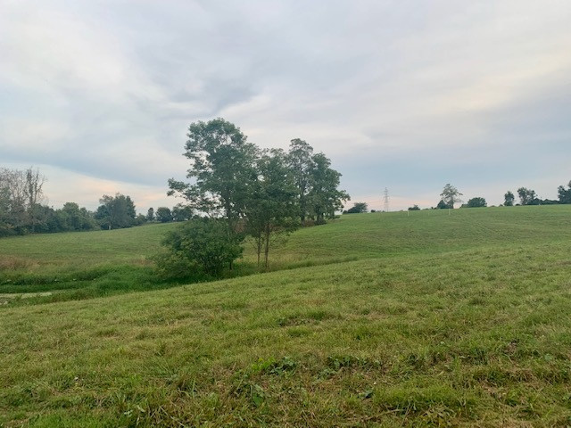995 Eads Road Lot # Verona KY