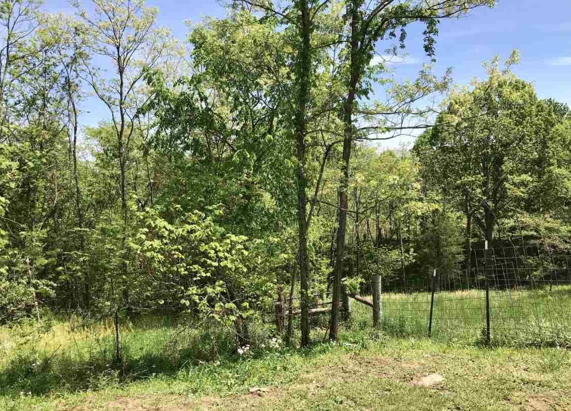 8000 Cordova Road Berry KY