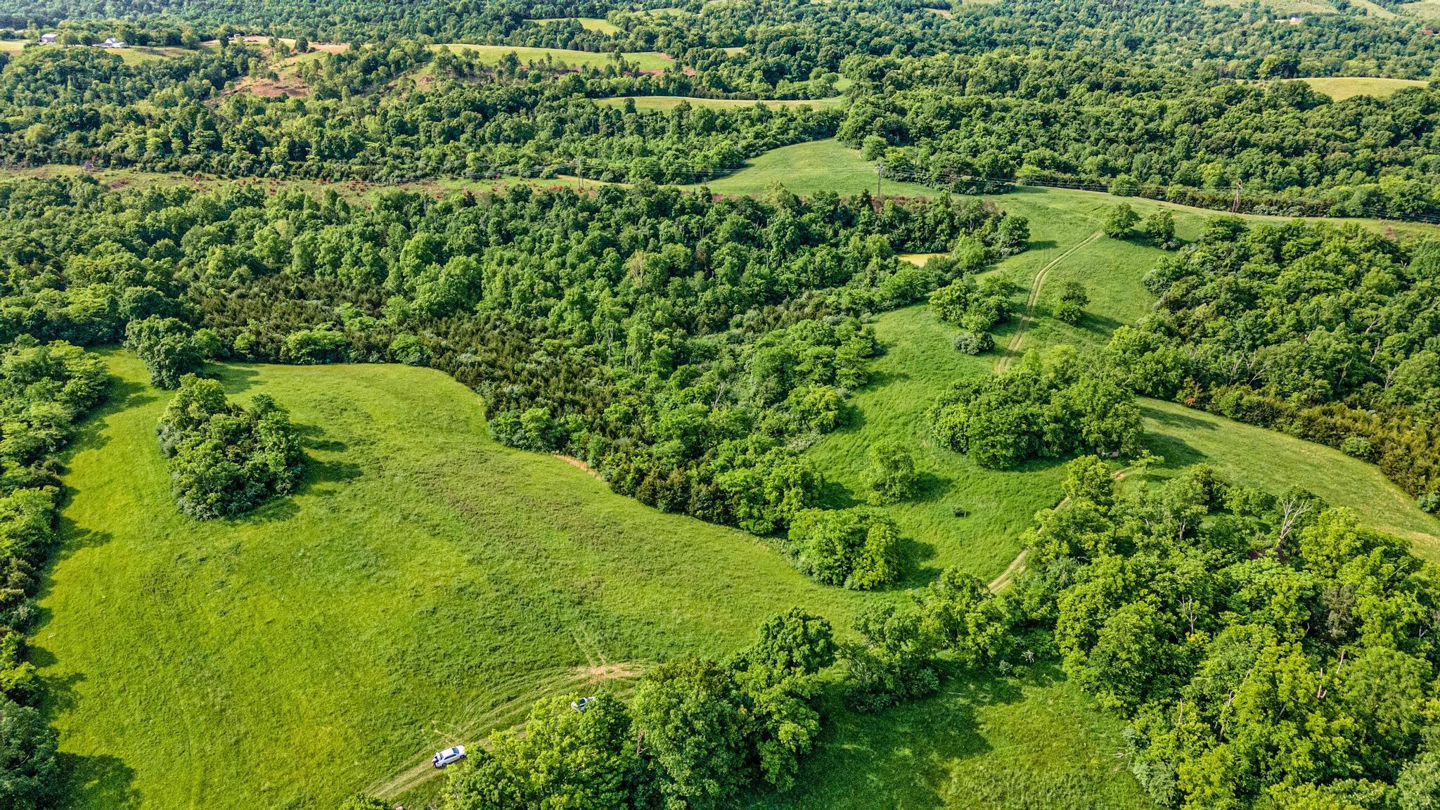 Photo of 120.61 Ac Falvey Road, Butler, KY 41006