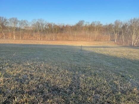 Photo of tract 5 Hwy 1316, Sparta, KY 41083
