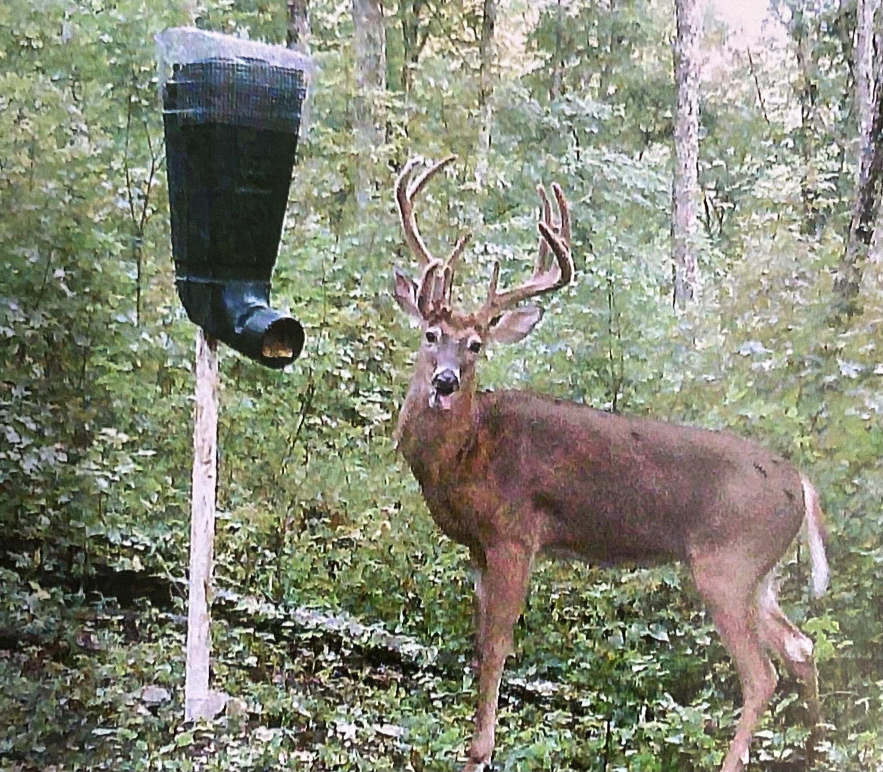 Photo of 27.16 AC Stewartsville Road, Williamstown, KY 41097