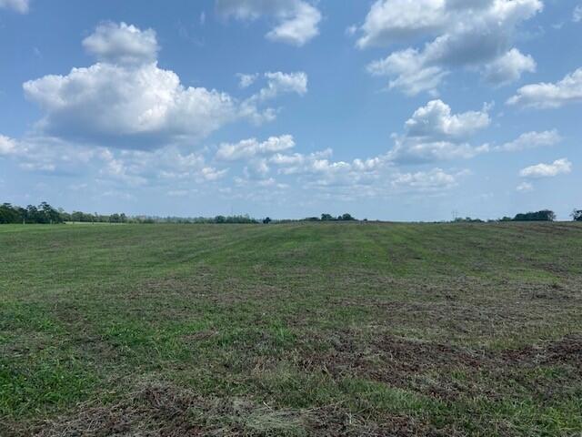Photo of 4639 Clarks Run Rd., Dover, KY 41034