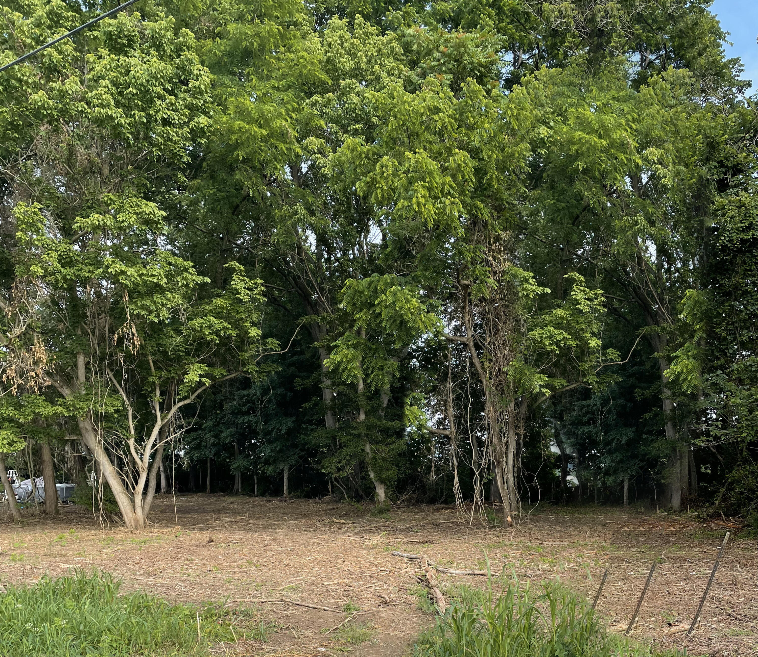 Photo of 14&15 Meadow Lark Lane, Warsaw, KY 41095