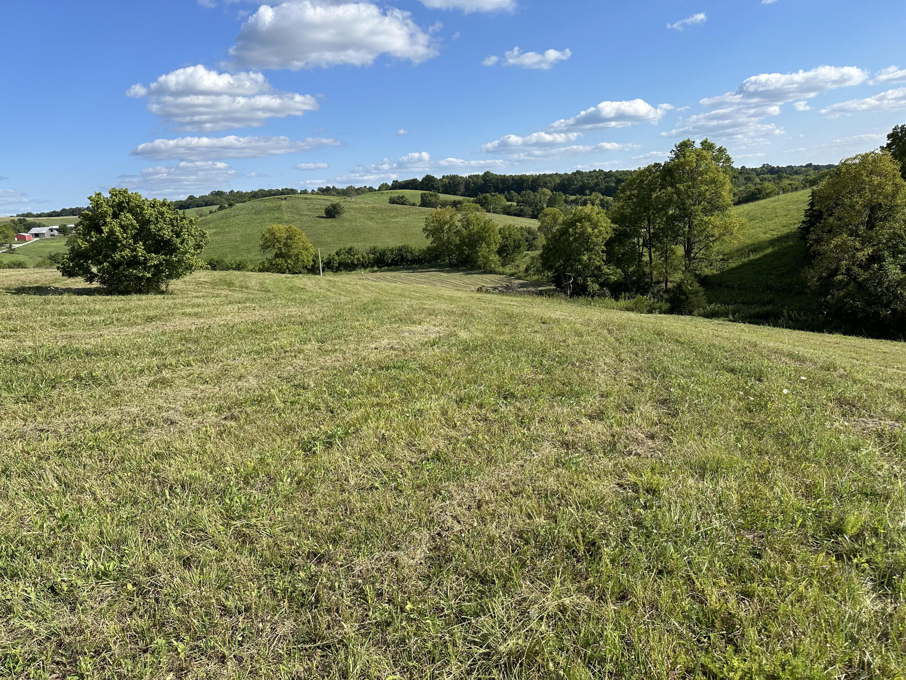 Photo of  Corinth Road, Corinth, KY 41010