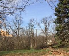 Lot 1 to the right and Lot 3 In middle Both are 1 acre lots