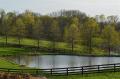 Views of Neighboring Farm's Lakes