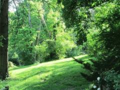 This backyard is a great place to play games and enjoy nature.