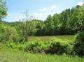 250 Beautiful Acres of Wooded Land. Would be a perfect Hunting Retreat or your own piece of Paradise.