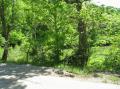 Gum Creek Rd marks the beginning of the property.