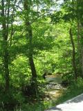 Beautiful Creeks run throughout the property.