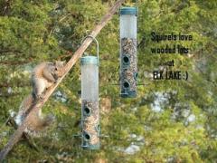 Come spend your days climbing trees !!! There is plenty to watch in the woods...