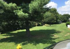This view is from the far western end of Squire Drive facing north. Public water is available at the frontage on Squire Drive.