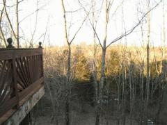 Enjoy the privacy of your wooded yard