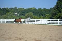 This is a Horse-Lovers Paradise!