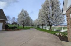 Mature trees outline the driveway.....what an entrance to Home!