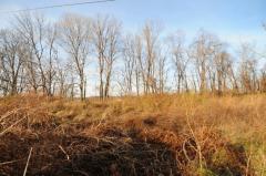 Perfect spot to built the home of your dreams!