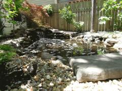 The Koi pond is very relaxing.