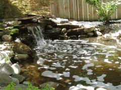 The Sound of water cascading into the stocked Koi pond is extremely relaxing in this backyard sanctuary...