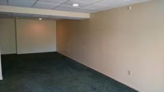 Lower level family room with carpet and walkout.