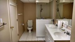 Lower level full bath with double sinks and specialty bath/shower for possible special needs owner.