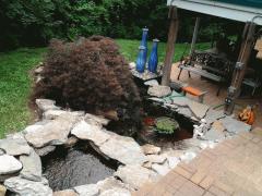 Lush landscaping around back of home with pond, fountain, brick paver stairway to brick paver oversized patio.