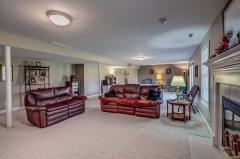 Stunning lower level. Gas fireplace Recessed lighting. Walk out to your patio and back yard.