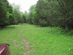 Property Photo 22