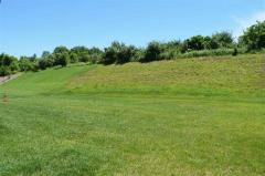 Great backyard already in place!