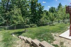 Fenced Backyard.
