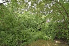 Property Photo 29