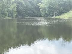 Approximately 5 Acre Lake!