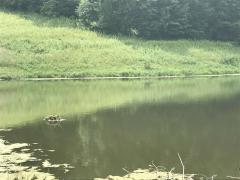 Room to play on this water!