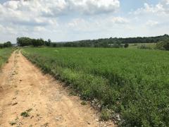 Many tillable acres!