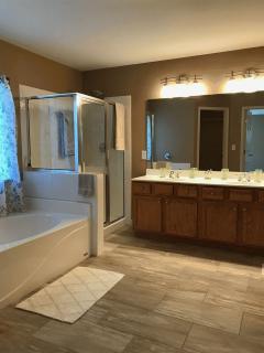 Double Vanity, separate toilet,shower and tub.