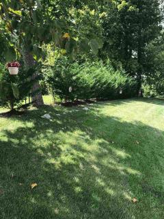 Slight grade of the yard allows for added privacy. The family of turtles will stay