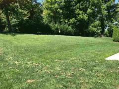 Just the right size yard!