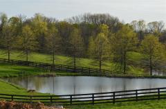 Views of Neighboring Farm's Lakes