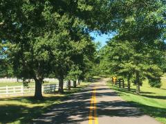 What a Way to Relax on Your Drive Home! Green Rd is Rolling Tree Lined Farms * Horse Farms * Peaceful Country Setting Just 10 Minutes to Independence or Walton Shopping & Restaurants!