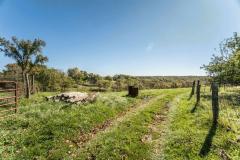 Fully fenced all around, this property has been strategically fenced for up to 4 pasture sites for grazing. Road frontage on 2 roads, allows for subdividing and multiple home sites. Up to 300 feet of frontage on Hogg Ridge.